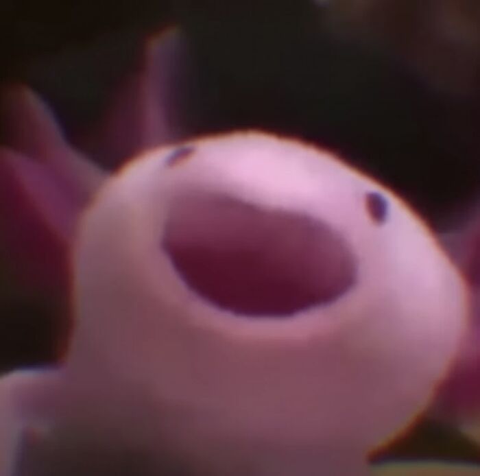 If You Couldn’t Tell, It’s A Picture Of Me When I’m Listening To Music By Myself In My Room