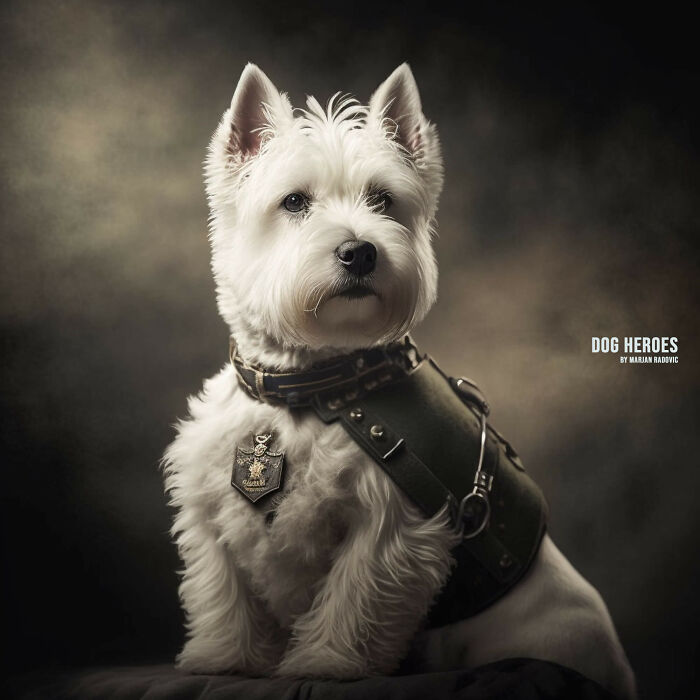 "Dog Heroes", Photographer Creates Hyper-Realistic Dogs Using Ai (43 Pics)