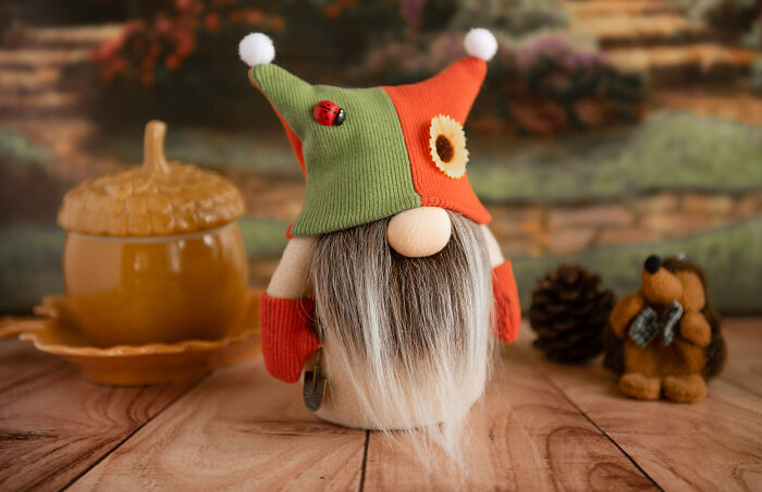 I Make Adorable Gnomes (26 Pics)