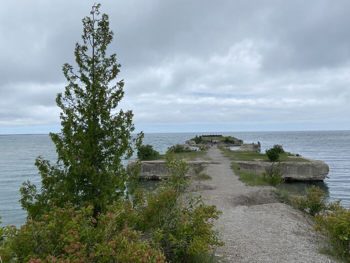 A Tree By A Lake Path