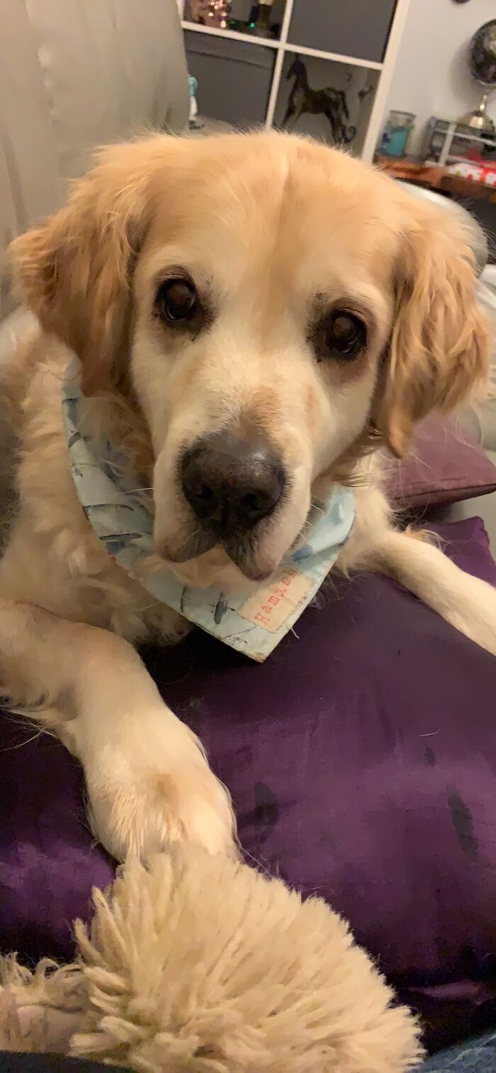 My Special Little Boy, He’s 14!