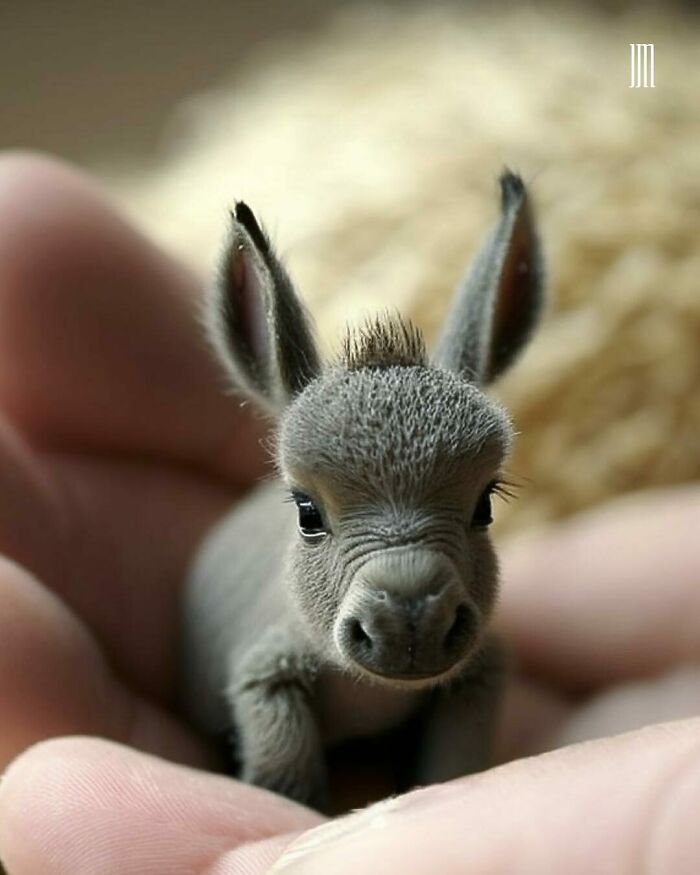 A tiny donkey, created with AI, nestled in a human hand.
