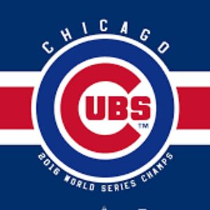 Average Chicago sports fan