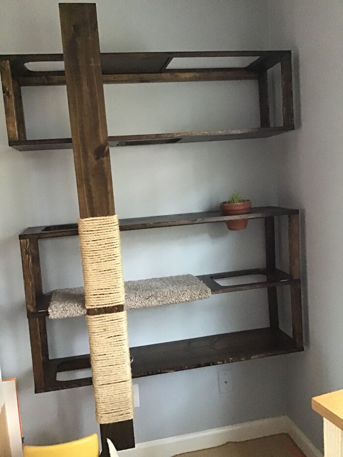 My Mom Made This For Our Cat