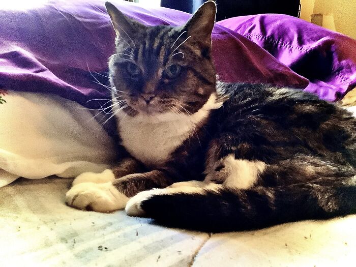 Rune, Looking Like The Queen She Is! 19 Years And Counting!