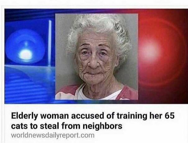 Funny Images From This Twitter Account!