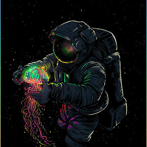 reinhardweiss avatar