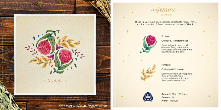 Gemini - The Explorer