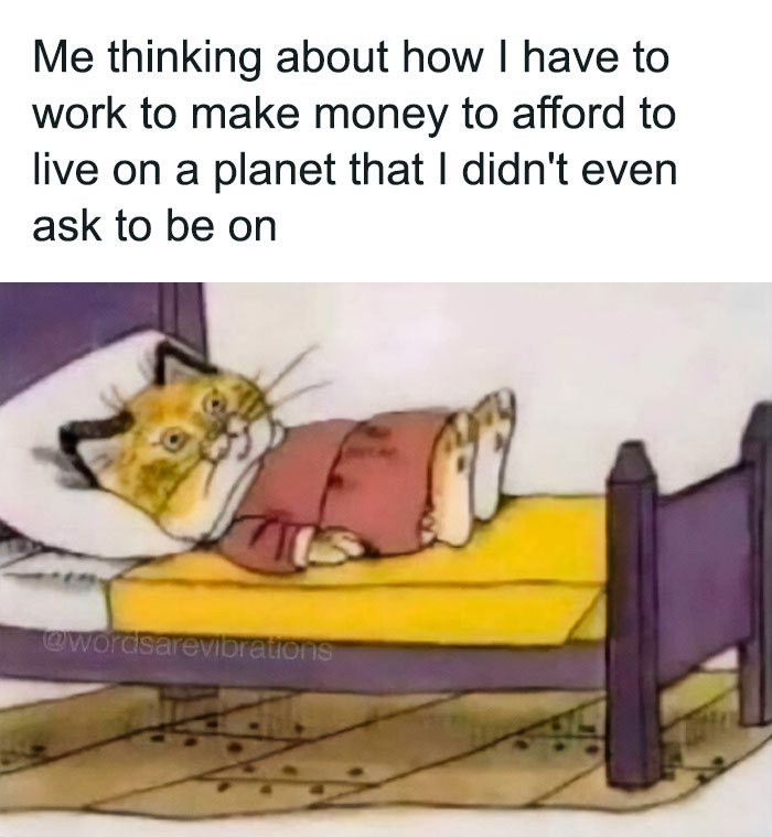 Cartoon cat lying in bed, looking thoughtful. Text above expresses job frustration humor.