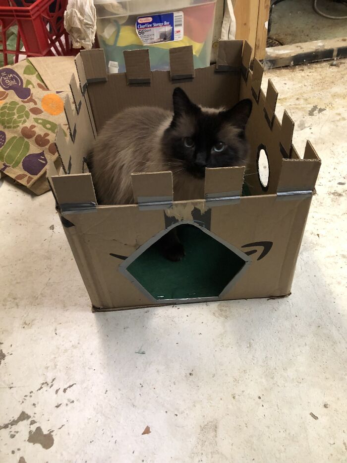 I Can’t Believe He Actually Uses The Castle I Made Him!