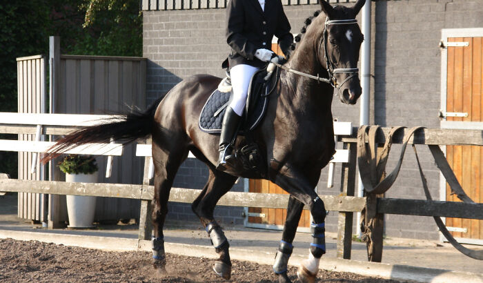 30 Hobbies Clearly Showing People Doing Them Are Insanely Rich, As Shared In This Online Community