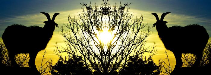 The Other Side Of The Mirror