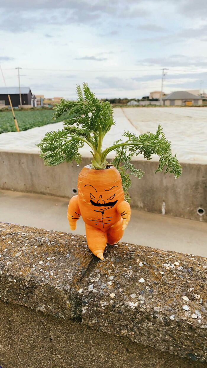 I Found Concerning Images While Browsing The Internet