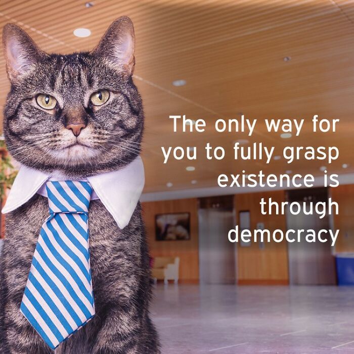 I Made 30 Funny Quotes Using A Quote Generator