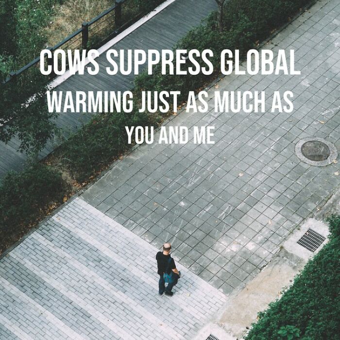 I Made 30 Funny Quotes Using A Quote Generator