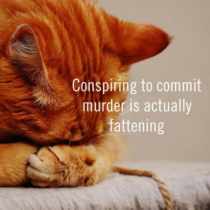 I Made 30 Funny Quotes Using A Quote Generator