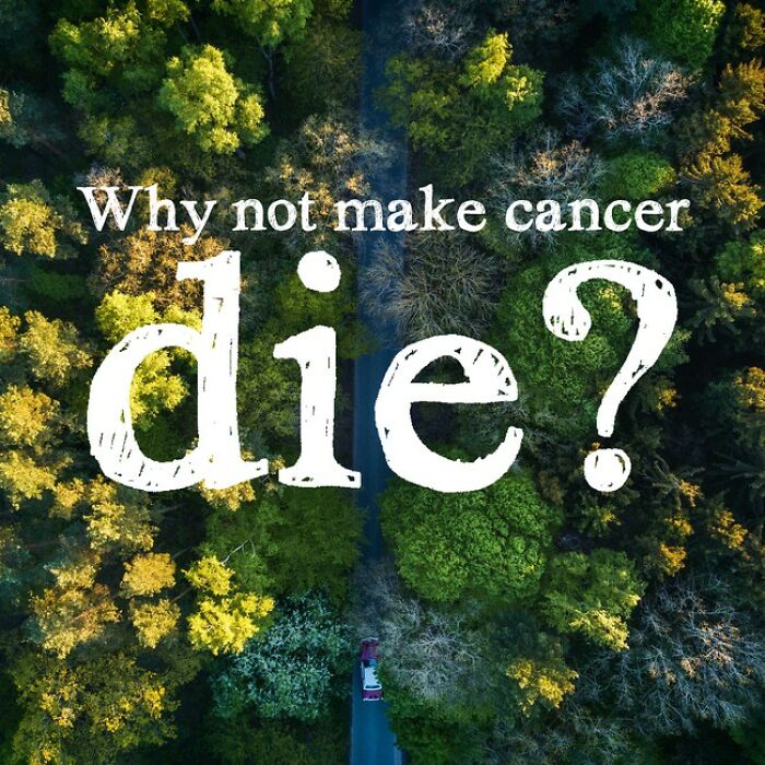 I Made 30 Funny Quotes Using A Quote Generator