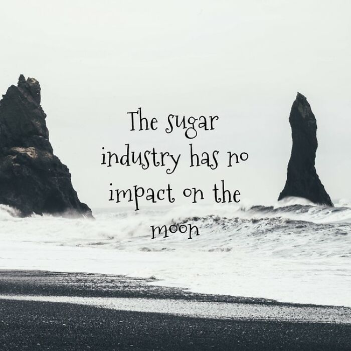 I Made 30 Funny Quotes Using A Quote Generator