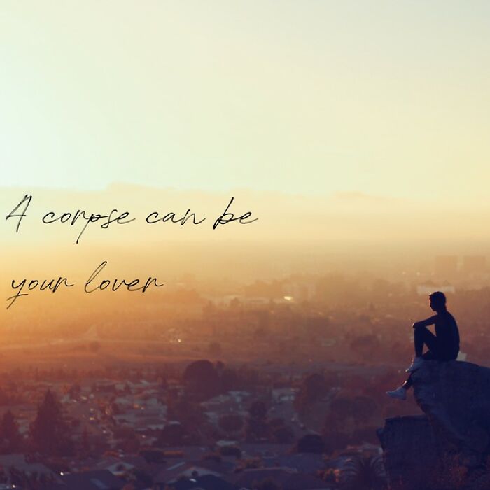 I Made 30 Funny Quotes Using A Quote Generator