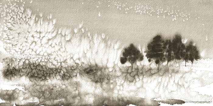 I Create Paintings With Charcoal And Salt And The Result Is Whimsical (18 Pics)