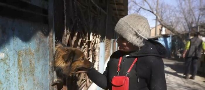 These People In Ukraine Have Dedicated Their Lives To Helping Unfortunate Animals All Across Their Country