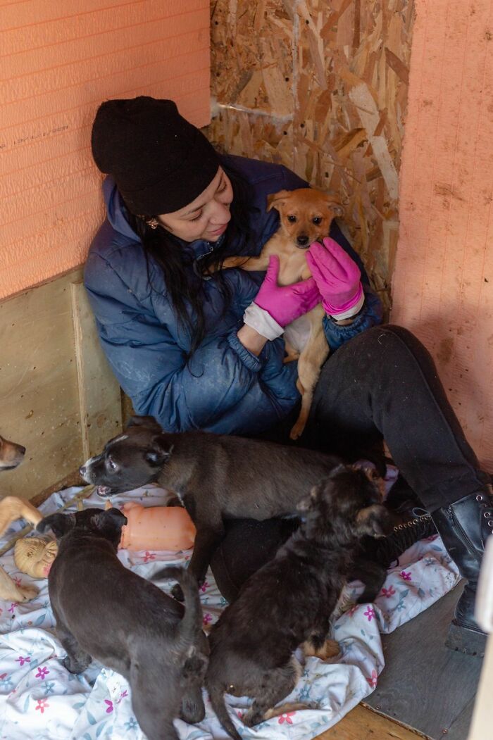 These People In Ukraine Have Dedicated Their Lives To Helping Unfortunate Animals All Across Their Country