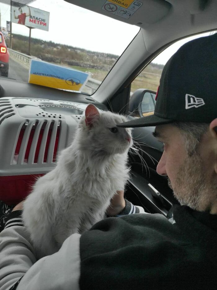 These People In Ukraine Have Dedicated Their Lives To Helping Unfortunate Animals All Across Their Country