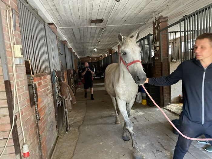 These People In Ukraine Have Dedicated Their Lives To Helping Unfortunate Animals All Across Their Country