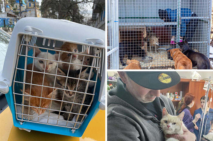These People In Ukraine Have Dedicated Their Lives To Helping Unfortunate Animals All Across Their Country