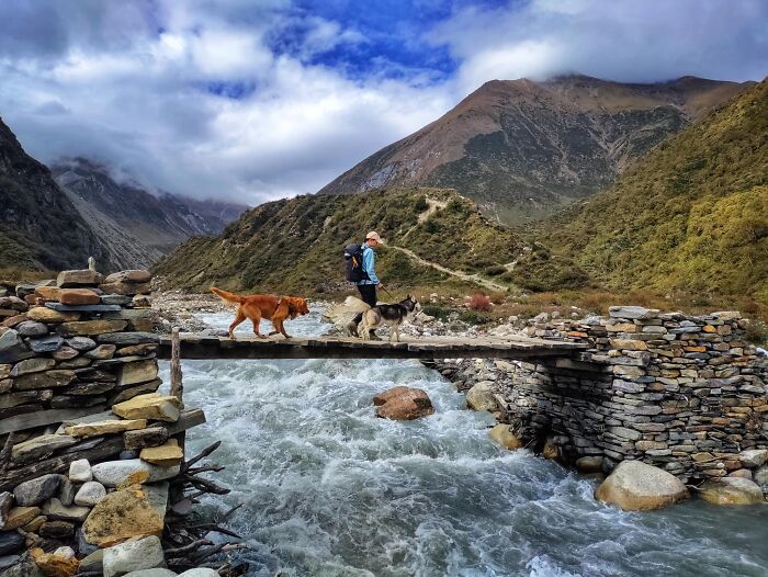 See How I Spent 18 Days Hiking Through Manaslu Circuit Together With My Dogs