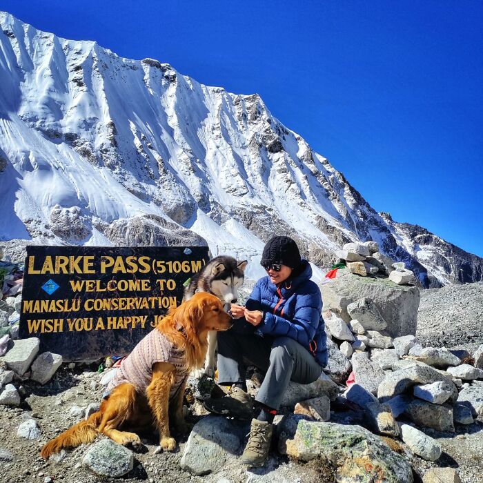 See How I Spent 18 Days Hiking Through Manaslu Circuit Together With My Dogs