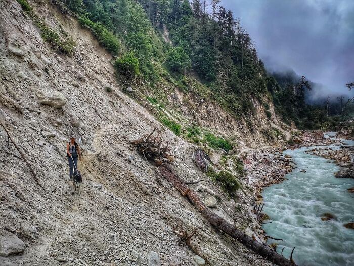 See How I Spent 18 Days Hiking Through Manaslu Circuit Together With My Dogs