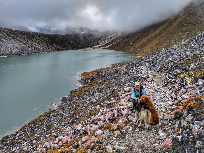 See How I Spent 18 Days Hiking Through Manaslu Circuit Together With My Dogs