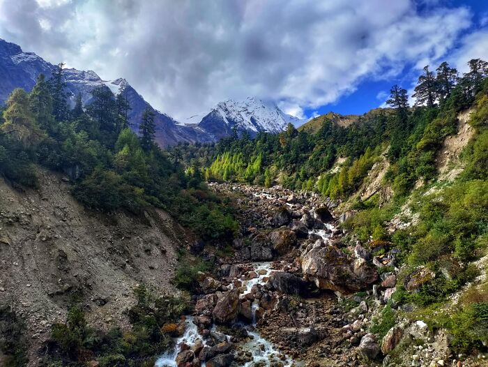 See How I Spent 18 Days Hiking Through Manaslu Circuit Together With My Dogs