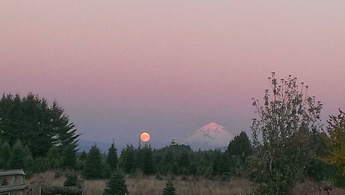I Think I'm Neighbors With Another Poster! Mt. Hood, Oregon