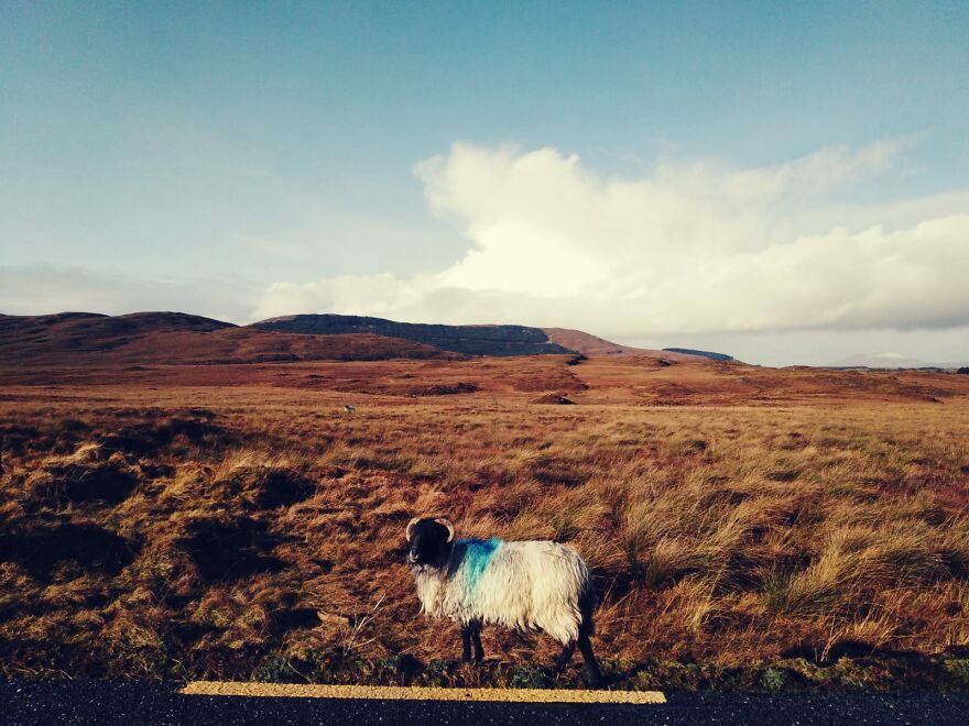 Met This Guy In Ireland