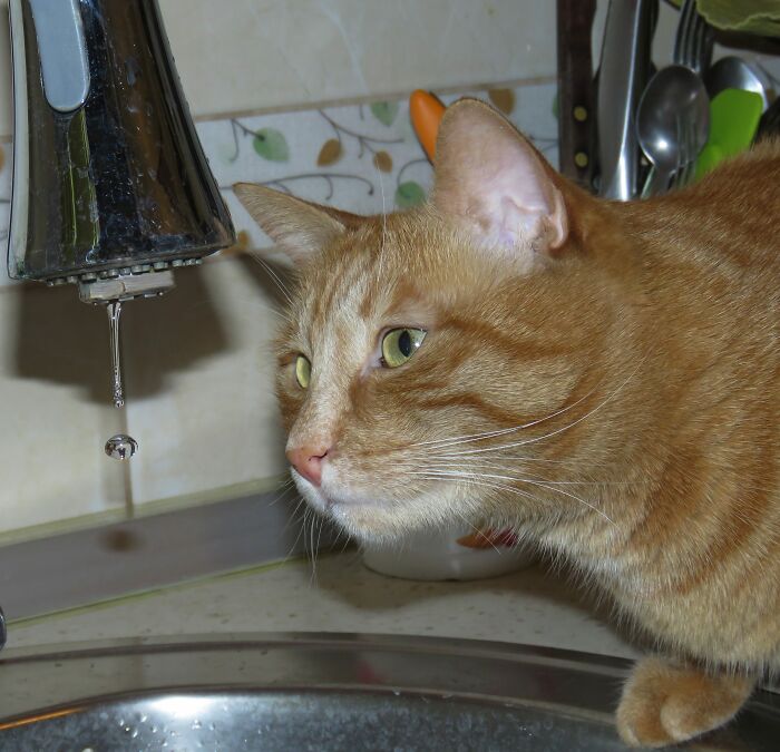 My Sweet Boy, He Likes To Watch The Water Drip, For A Long, Long Time