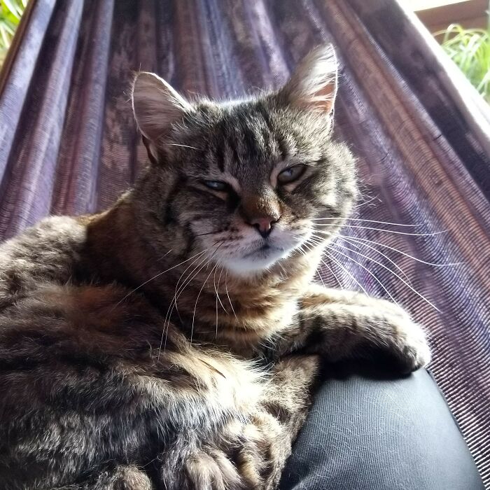 Chillin In The Hamac