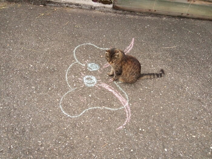 Tiger Painted An Elefant