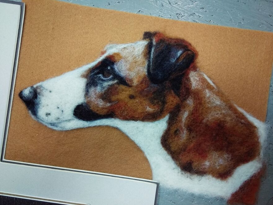 Portrait Of Wool From A Photo Portrait Of Wool From A Photo