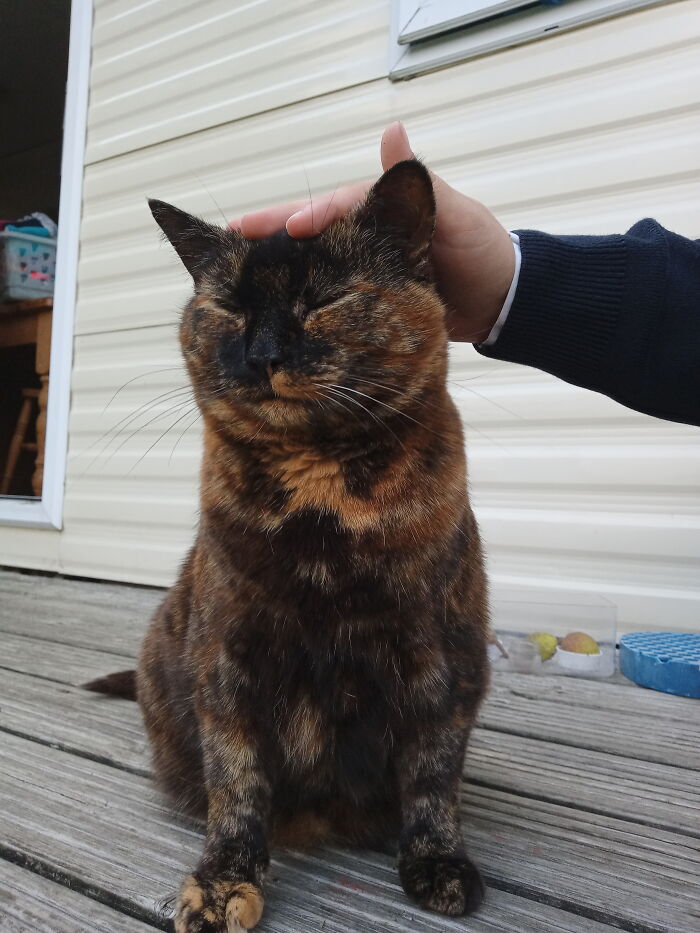 Our Beautiful Girl, Much Loved And Dearly Missed