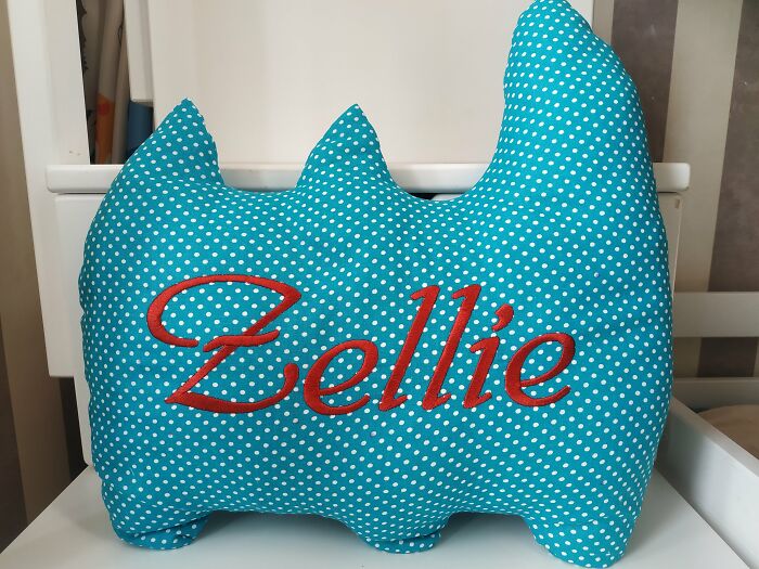 I Make Funny Pillows In The Form Of Cute Cats (13 Pics)