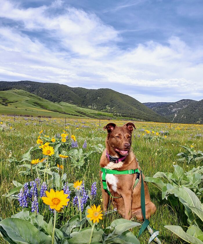 Wyoming, By The Big Horns