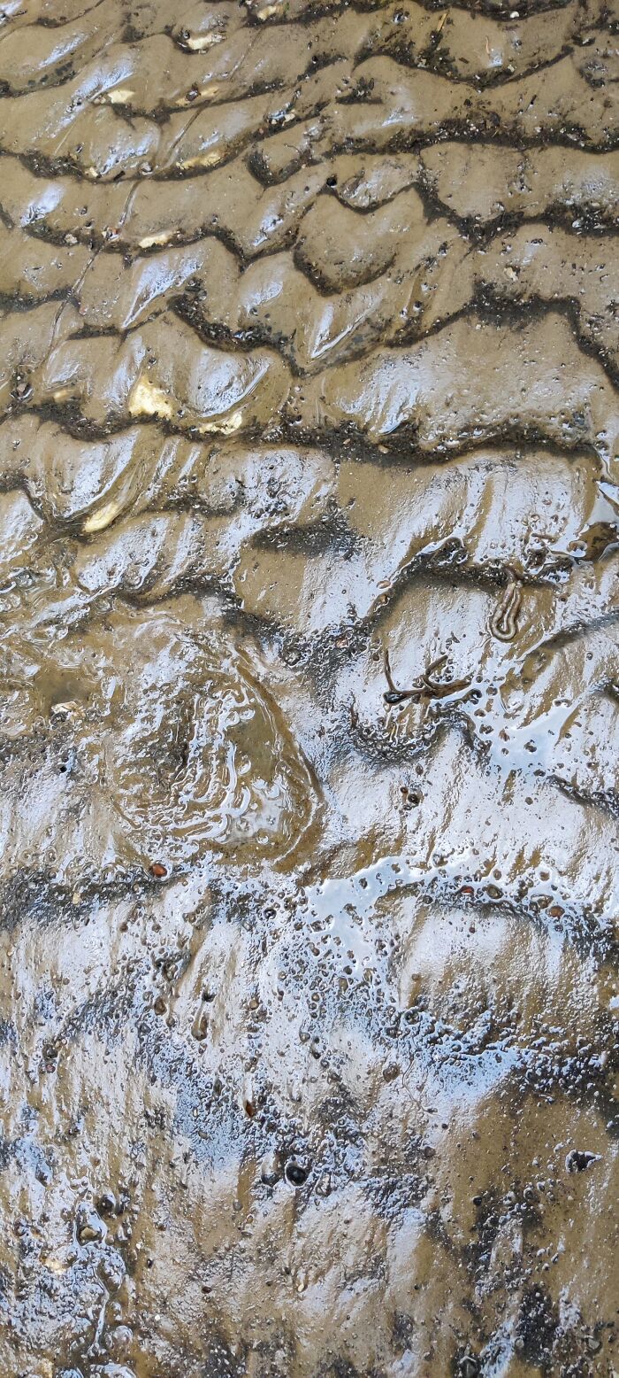 Mud Painting By Rain.... Don't Know If It Counts