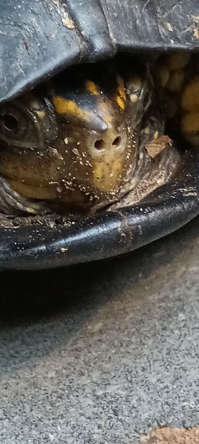 I Took This Picture When I Got Back From My Walk