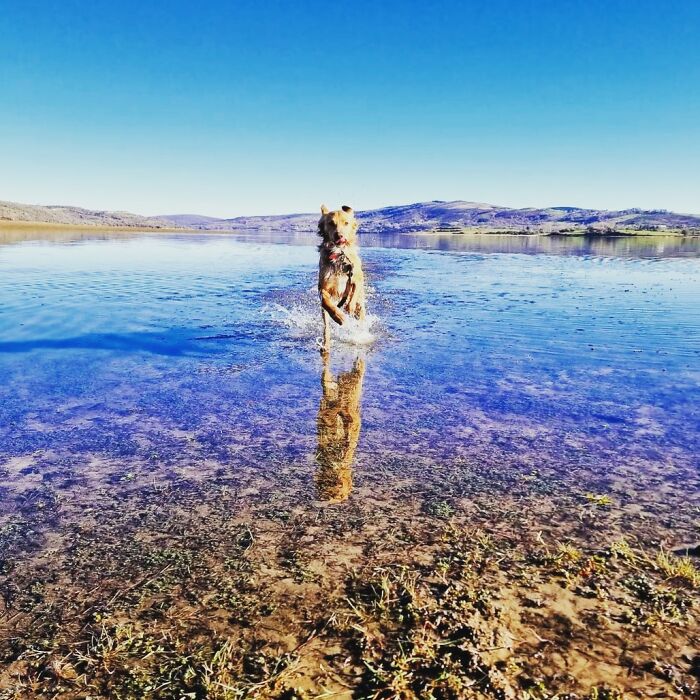 Up In The Mountains And Lakes Of Northern Spain