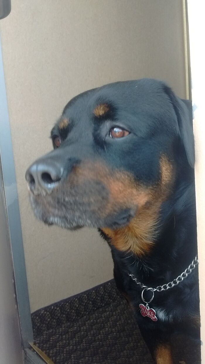 By Far The Best Pic Of My Big Brother Jakey. May He Rest In Peace 💕