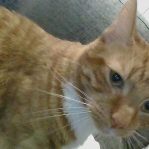 elianaelias_1 avatar