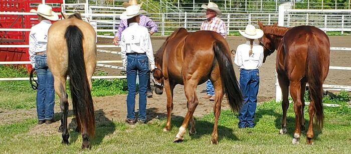 My Friends And I Just Before We Went Into The Show Ring