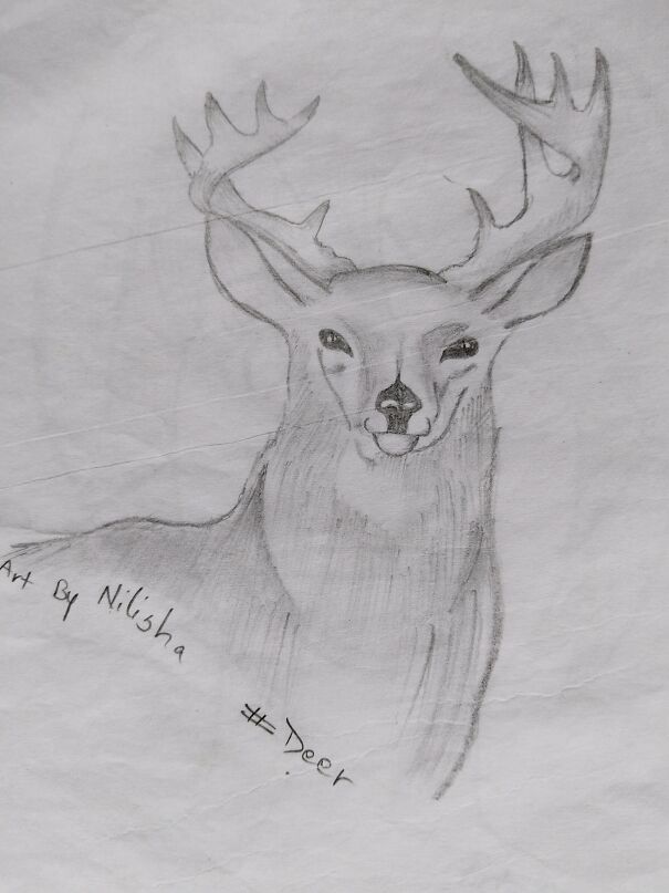 A Very Dear Deer!